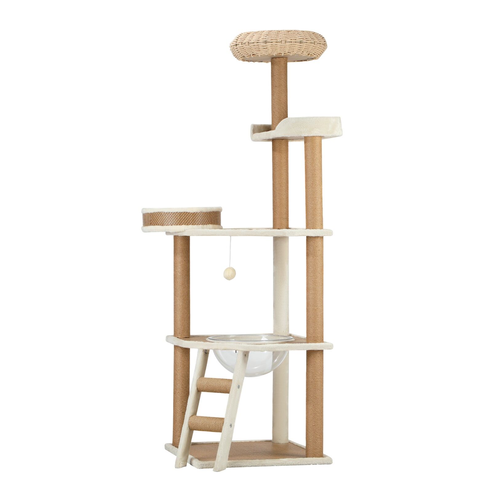 Image 7