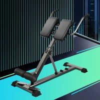 Finex Weight Bench Roman Chair Back Hyperextension Extension Fitness Equipments