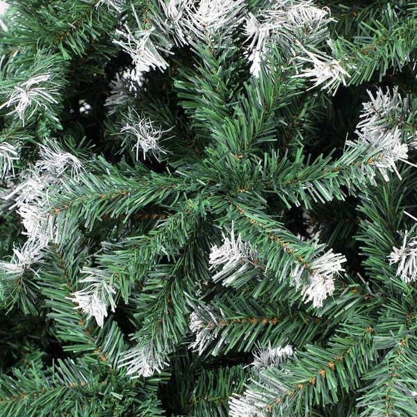 Image 9