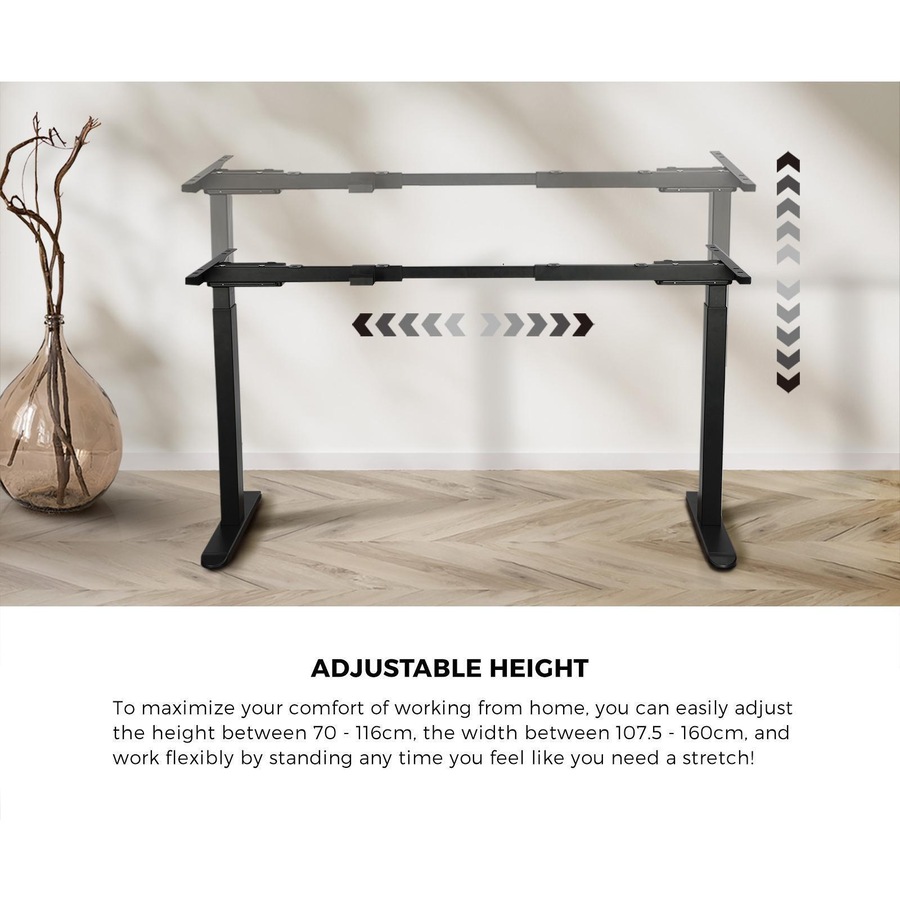 Oikiture 160CM Electric Standing Desk Dual Motor Height Adjustable Motorised Sit Stand Desk Rise Walnut