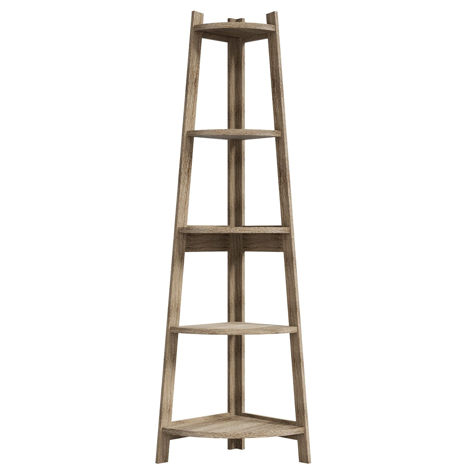 Image 21