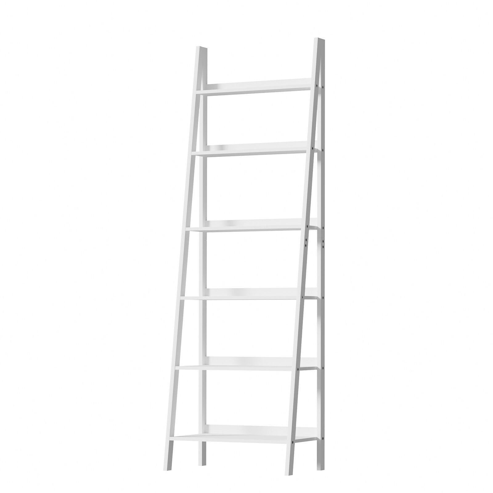 Image 19