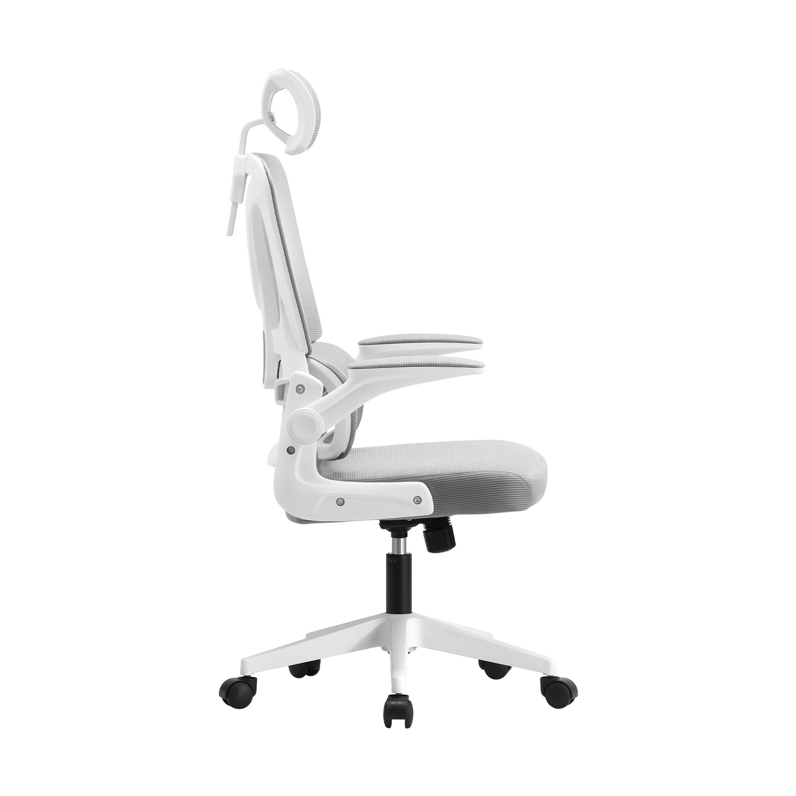 Image 7