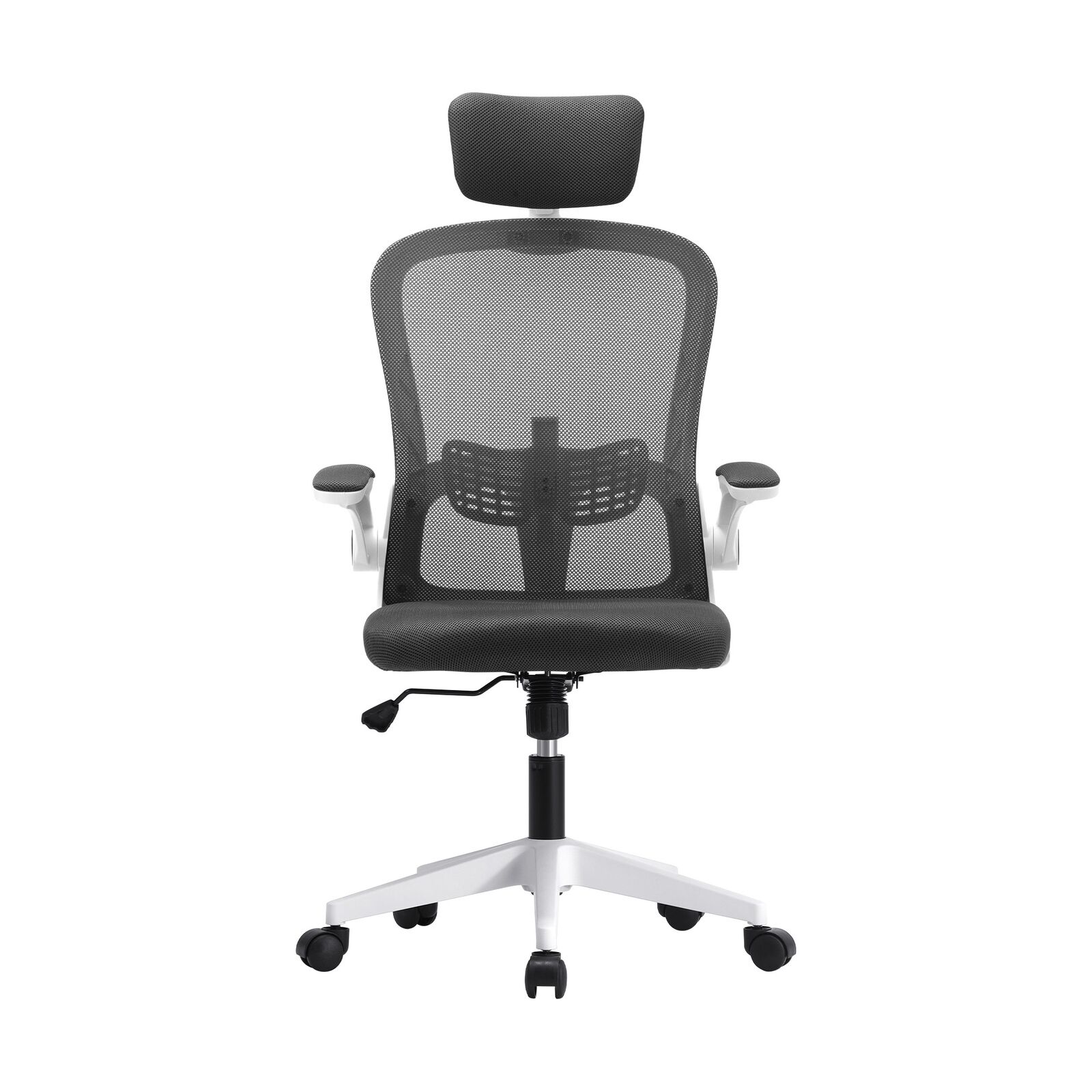 Image 7