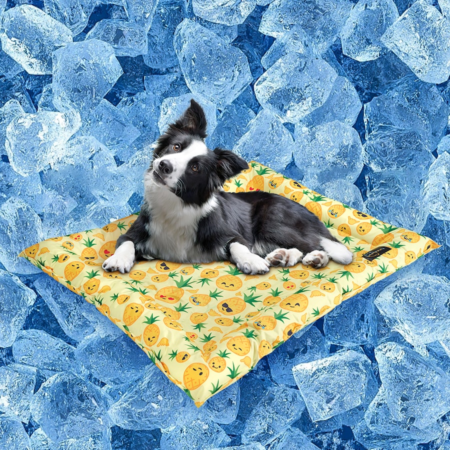 Petzly Pet Cooling Mat Dog Cat Bed Non-Toxic Gel Summer Pad 76x116CM