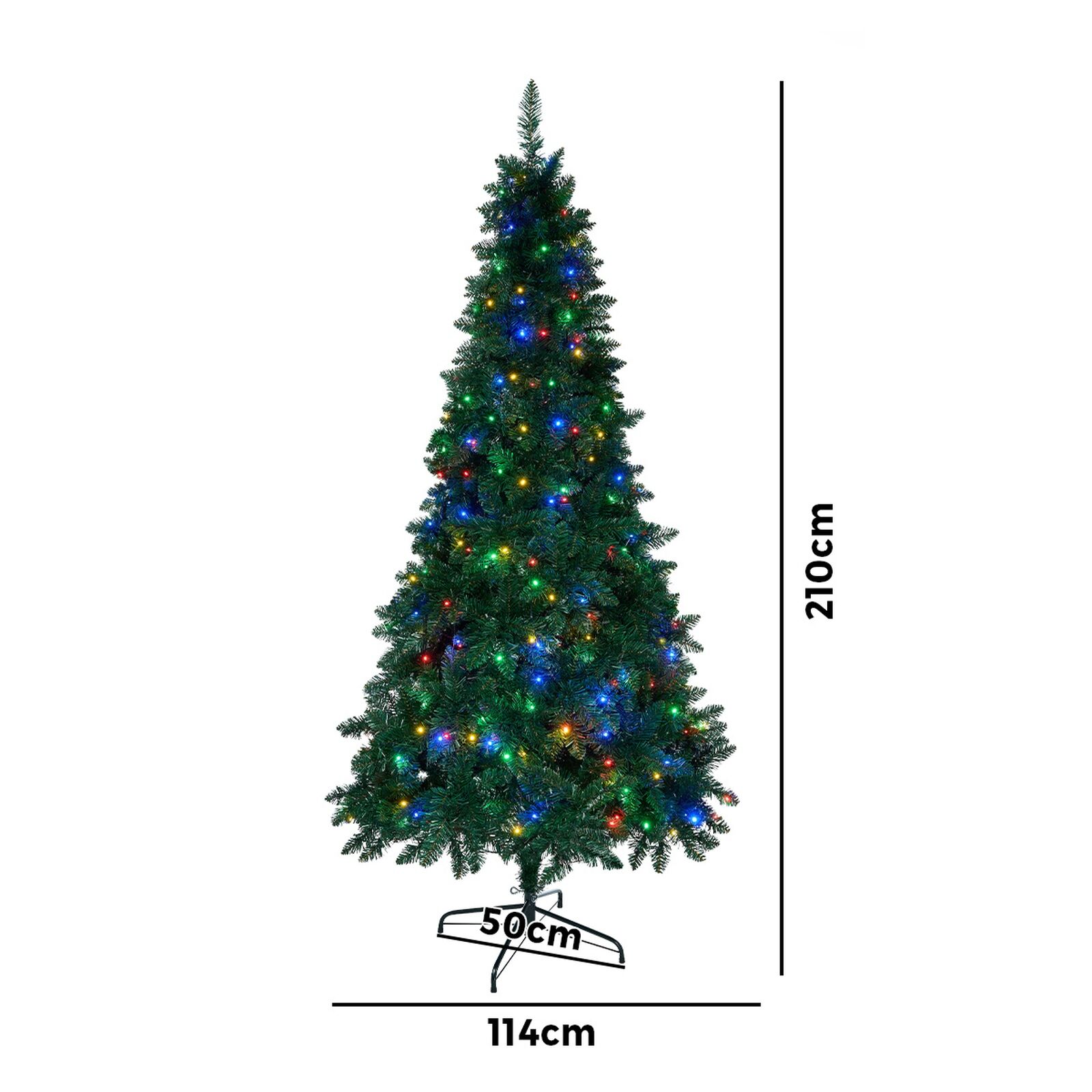 Image 8