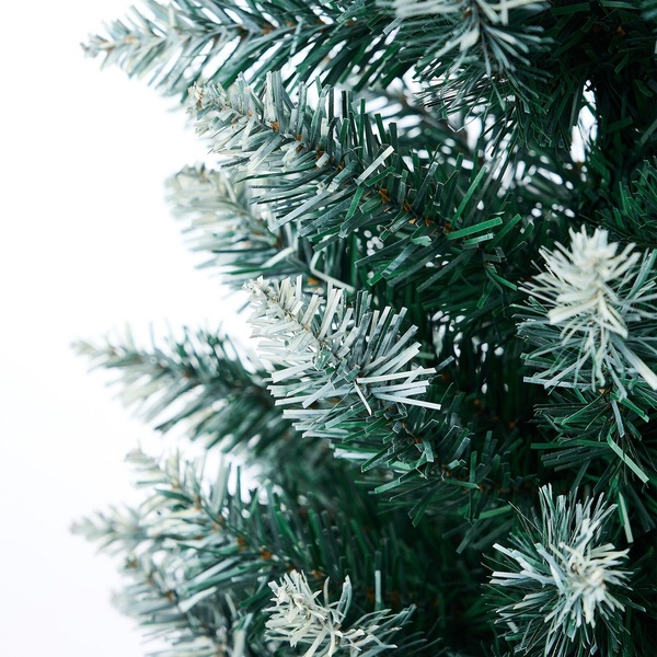 Image 16