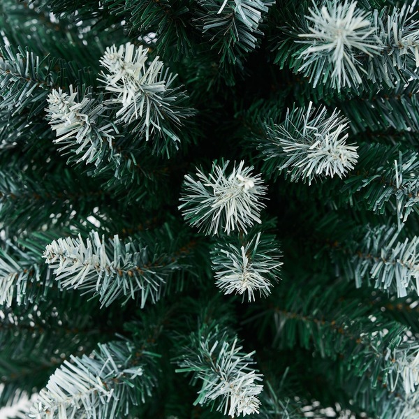 Image 17