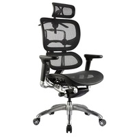 ERGO HIGH BACK Executive Chair BLACK MESH With Headrest
