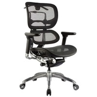 ERGO LOW BACK Executive Chair BLACK MESH 