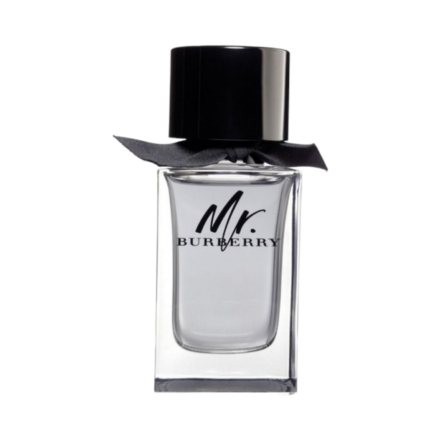 Burberry Mr. Burberry 100ml Eau de Toilette