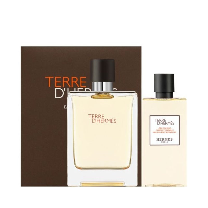 Buy Terre D'Hermes 2 Piece 100ml Eau de Toilette by Hermes for Men