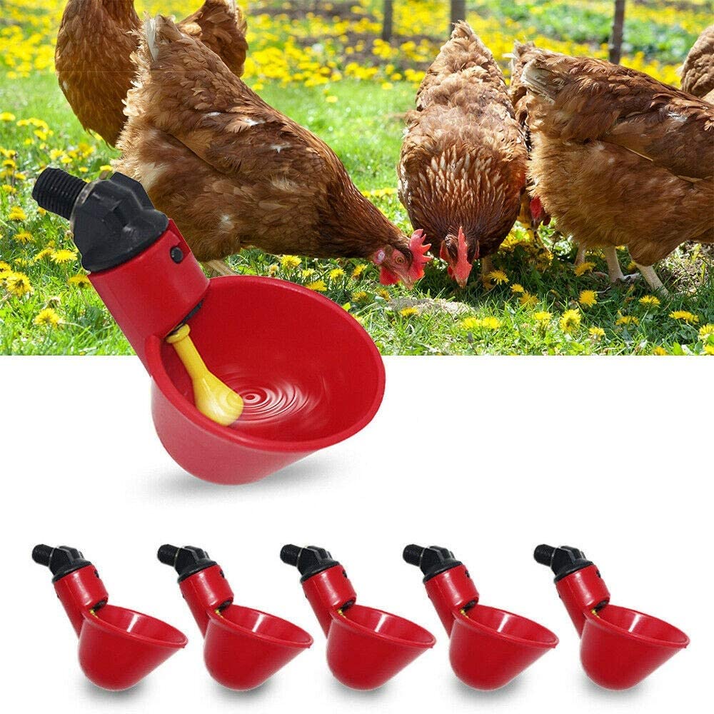 6 Pack Farm & Ranch Automatic Chicken/Poultry Drinkers/Waterers with Cups Watering Cups Bowls Red Plastic Backyards Chicken Flock Duck Bird Water Feeder(6)