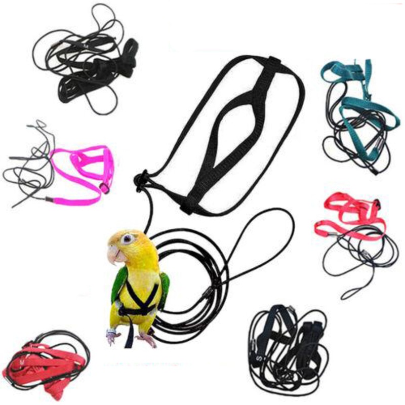 Buy Pet Parrot Bird Harness Lead Leash Flying Training Rope Cockatiel