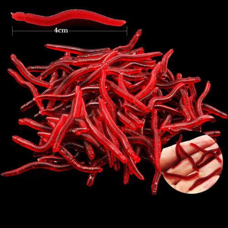 Buy Up to 500PCS Red Bloodworms Soft Plastic Lure Fishing Worm Bait Whiting  Bream AU - MyDeal