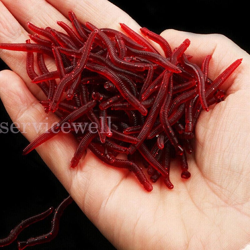 Buy Up to 500PCS Red Bloodworms Soft Plastic Lure Fishing Worm Bait Whiting  Bream AU - MyDeal