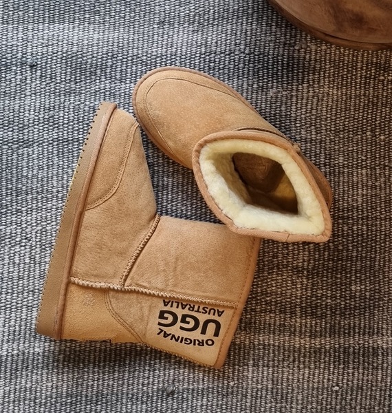 Image 7