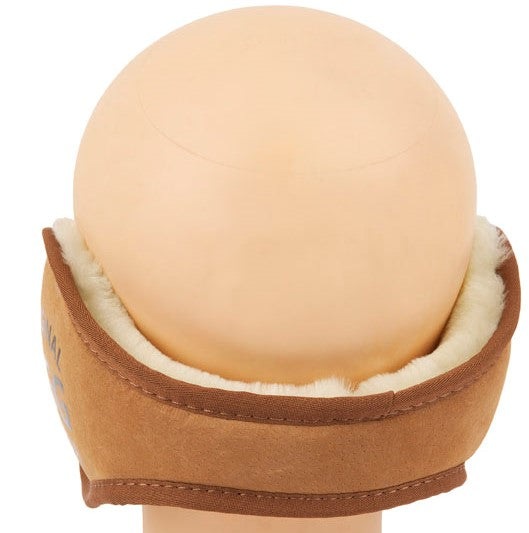 Image 7