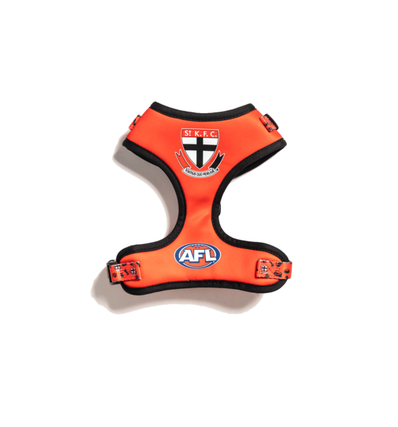 Image 16