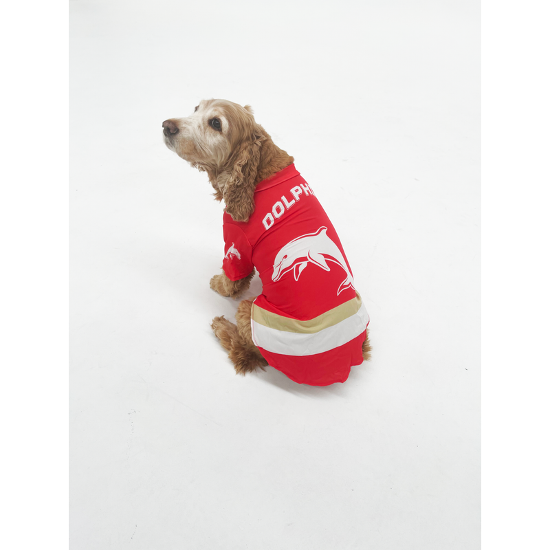 Buy NRL Dog Jersey - MyDeal