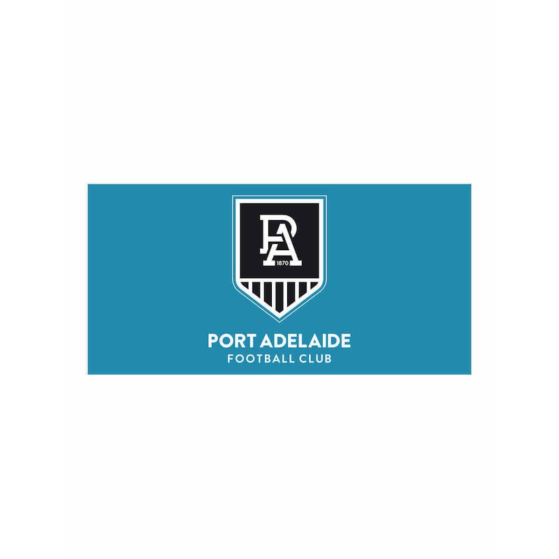 Buy Port Adelaide Power Afl Pole Flag Mydeal