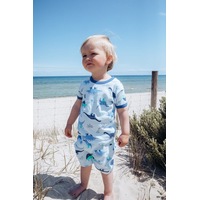 Boys Sizes 3-7 Dinosaur Print Cotton Short Sleeve PJS Pyjamas Marquise