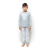 Boys Sizes 3-7 Dusty Blue Awesome Long Set PJS Pyjamas 
