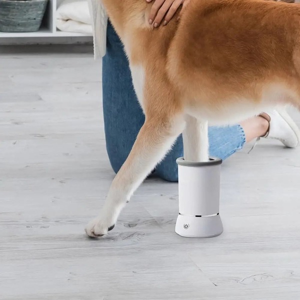 Image 8