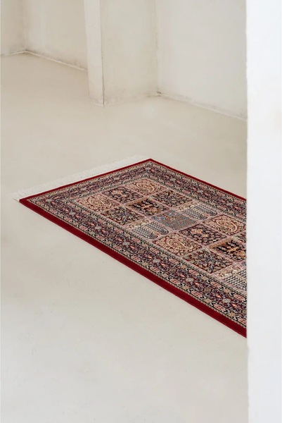 Image 6