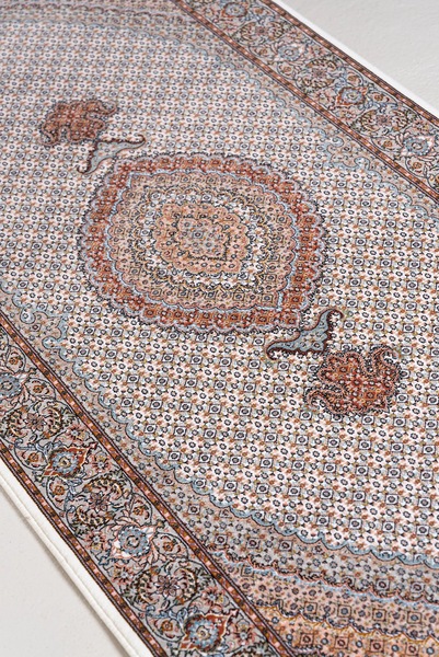Image 15