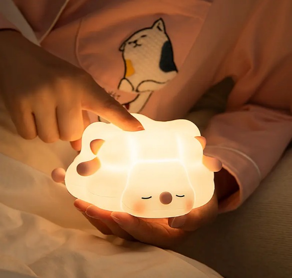 Image 2