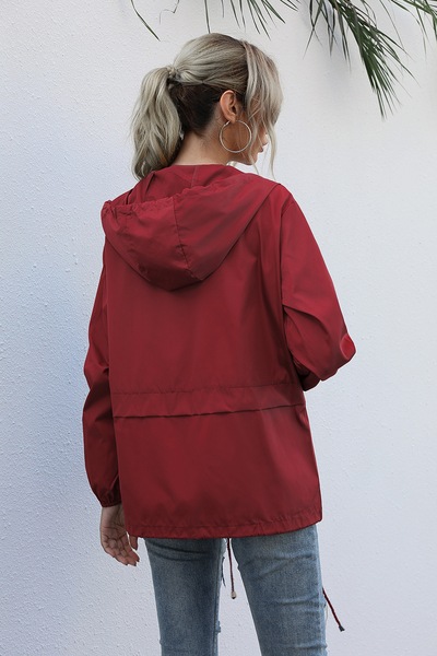 Image 13
