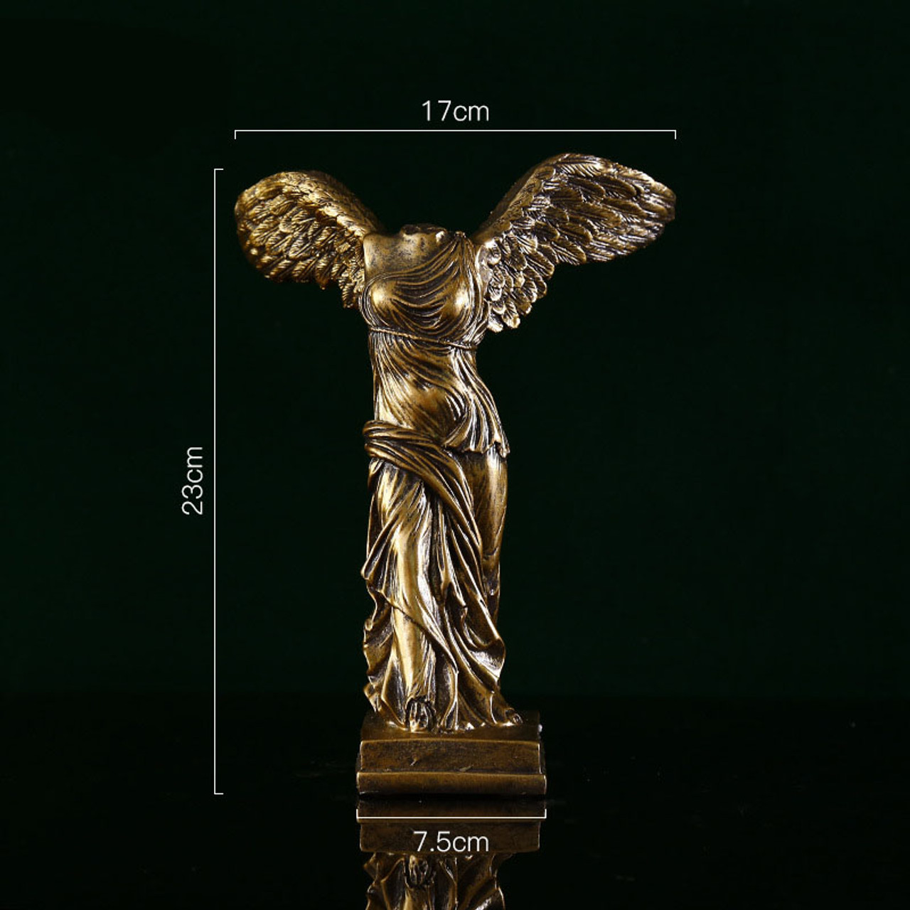 Image 6