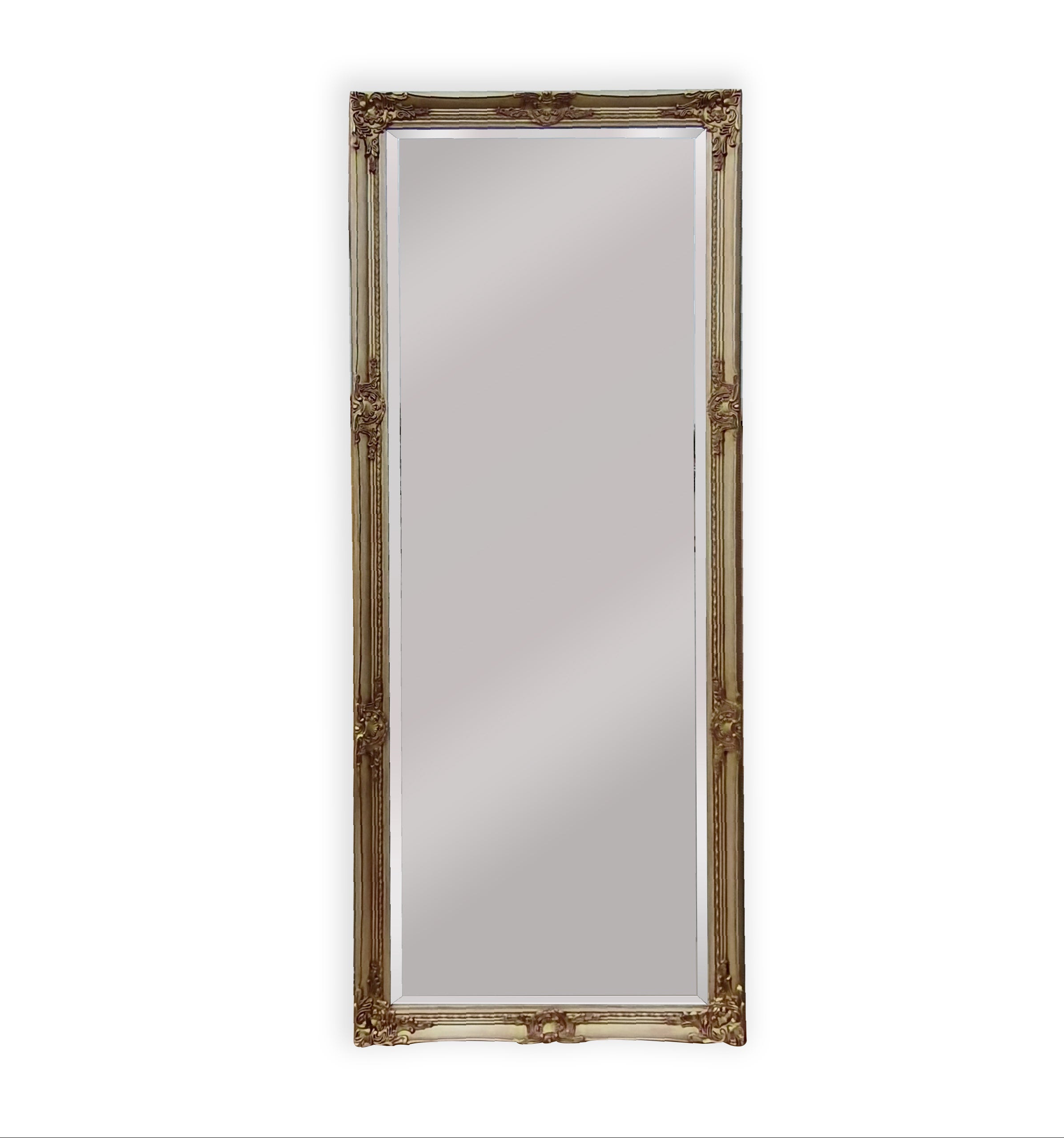 Champagne French Provincial Ornate Mirror - Medium 70cm x 170cm