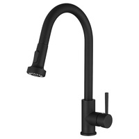Decaura Pull Out Kitchen Mixer Tap Black Basin Taps Faucet Swivel Spout Brass 2-Way