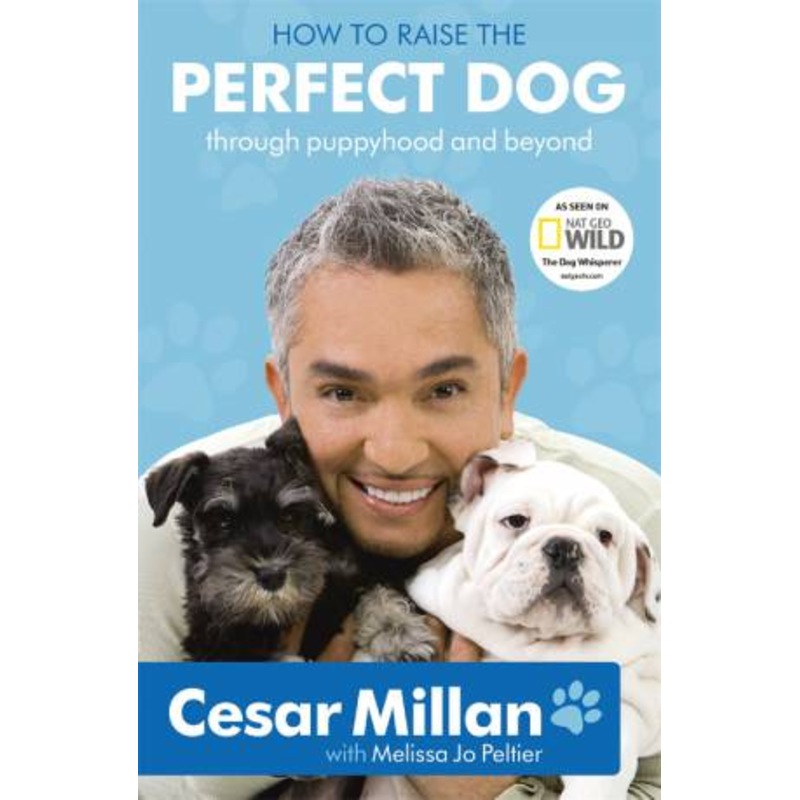 Buy How To Raise The Perfect Dog by Cesar Millan MyDeal