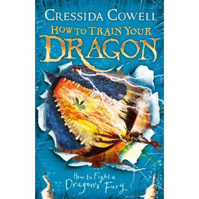 Buy How To Train Your Dragon 12: How To Fight A Dragon's Fury by ...