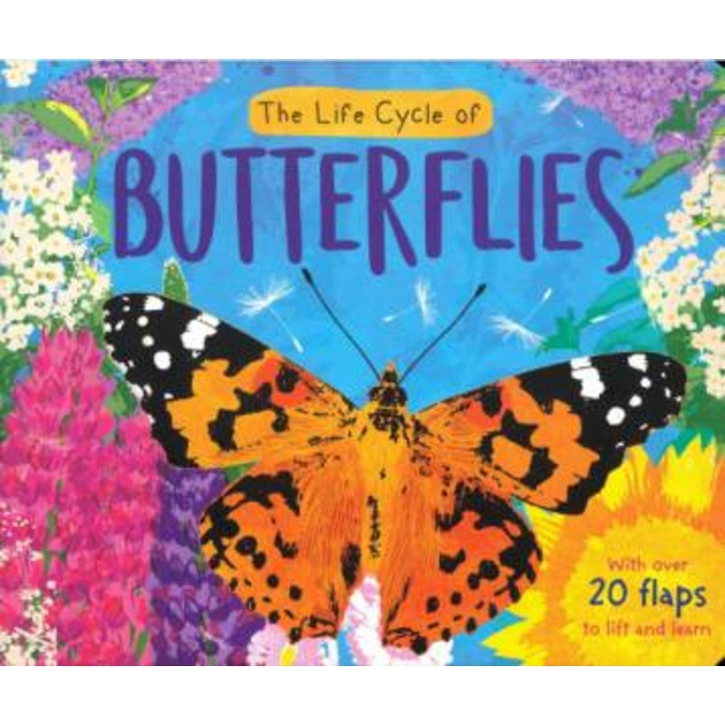 Buy Life Cycle Book Butterflies MyDeal