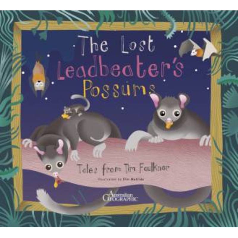 Buy The Lost Leadbeater's Possums by Tim Faulkner MyDeal