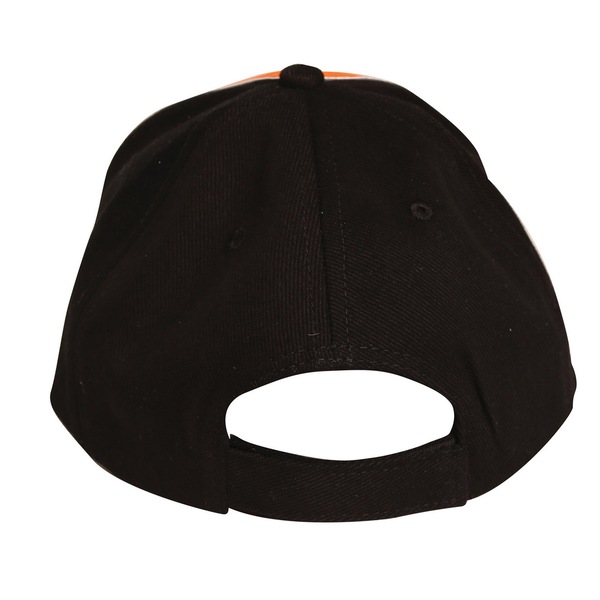 Image 4