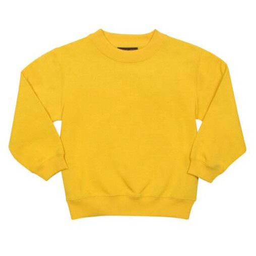 Image 11