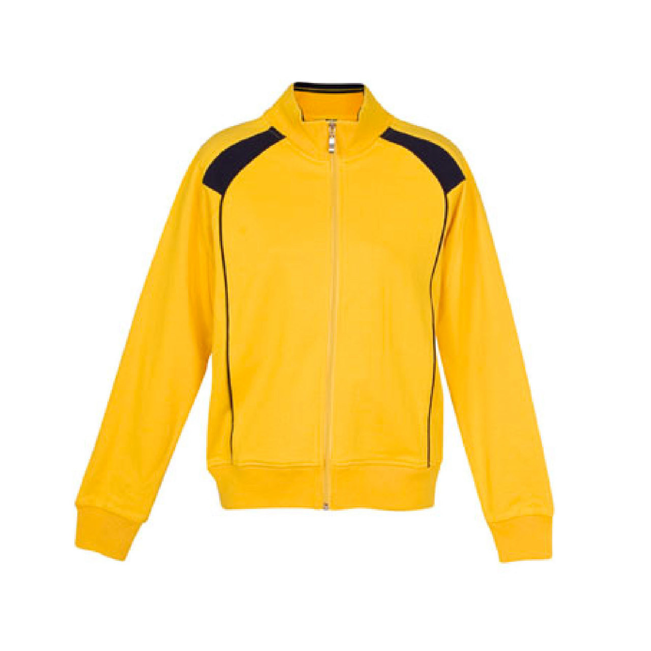 Image 7