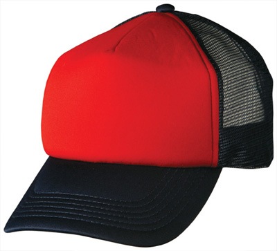 Image 19