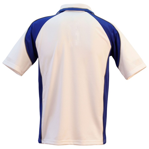 Image 5