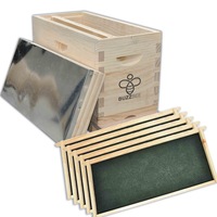 Buzzbee NUC Hive (5 Frames)