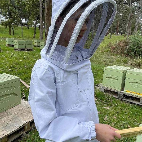 Image 11