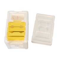 Mini Mating NUC Box (2 Pack)