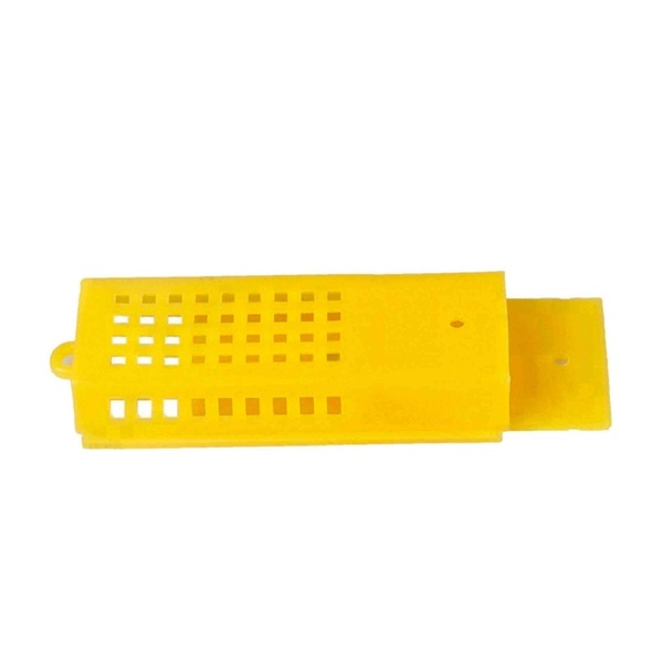 Image 7