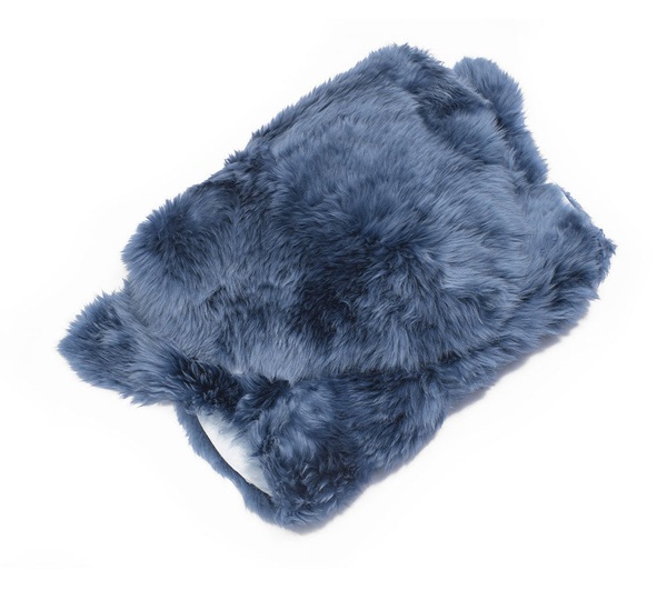 Image 21