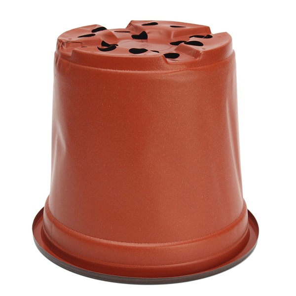 Image 9